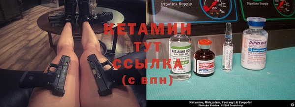 сатива Пестово