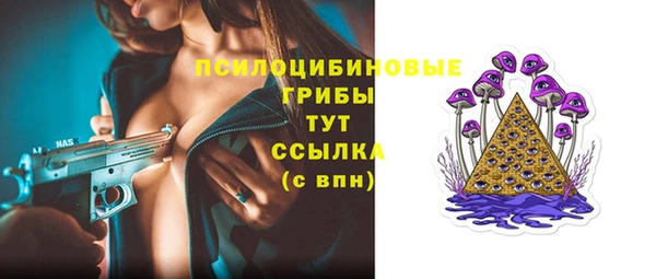 гидропоника Новодвинск