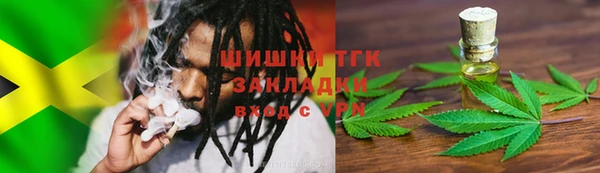 PSILOCYBIN Пересвет