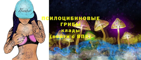 ГАЛЛЮЦИНОГЕННЫЕ ГРИБЫ Новокубанск