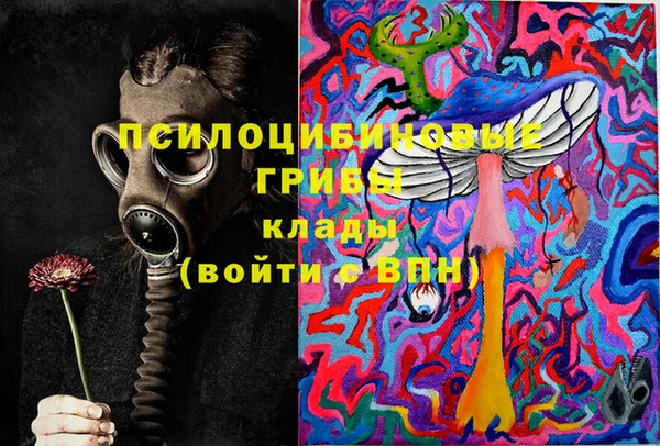 наркотики Каменногорск
