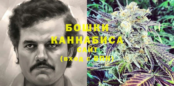 дживик Шадринск
