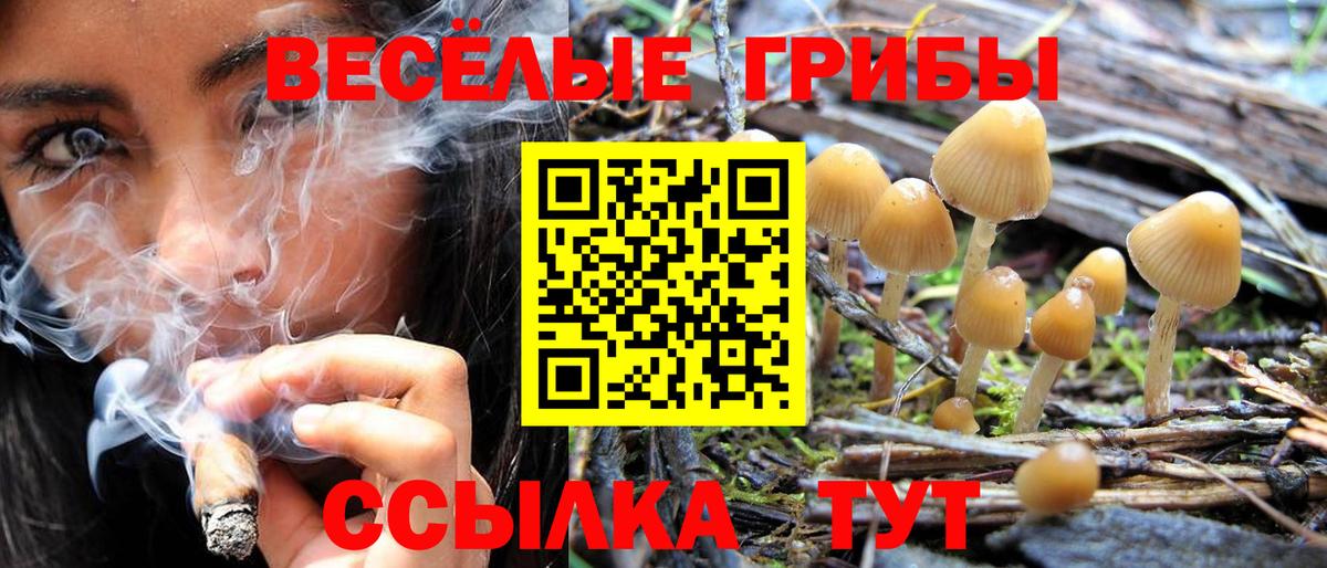Псилоцибиновые грибы Psilocybe  Вход с VPN  Ачинск 