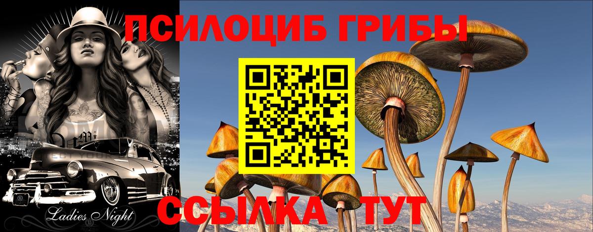 Галлюциногенные грибы Magic Shrooms  Ачинск  Галлюциногенные грибы Psilocybine cubensis 