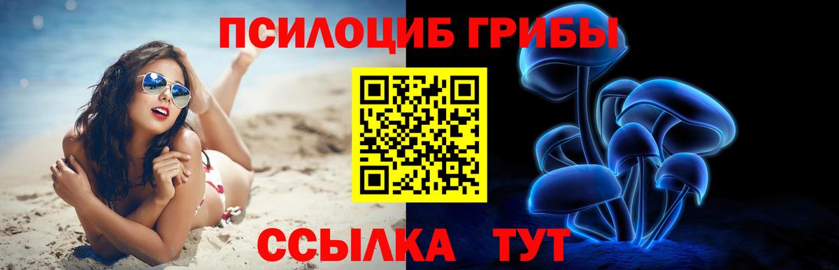 Псилоцибиновые грибы Magic Shrooms Ачинск